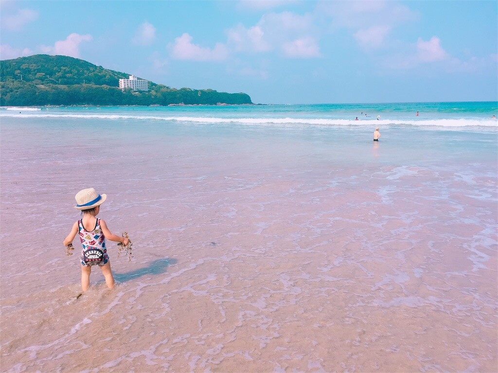辛口レビュー 口コミ 小学館の図鑑neopad ネオパッド 買いました ヒノクニッキ